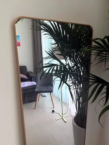 Elegant Mirror with Natural Frame