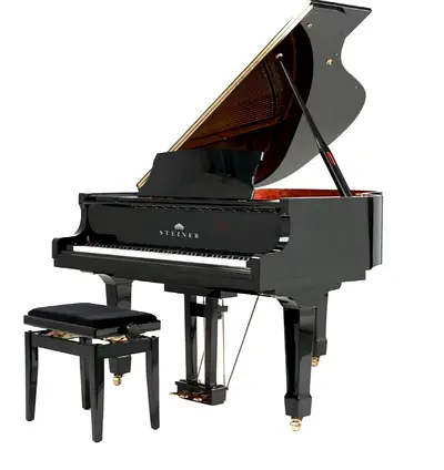 Steiner Grand Piano - Elegant Sound and Style