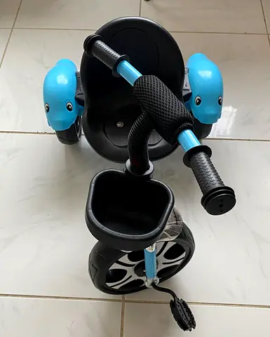Fun and Colorful Toddler Trike