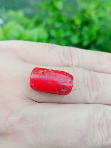 Beautiful Red Coral Bead