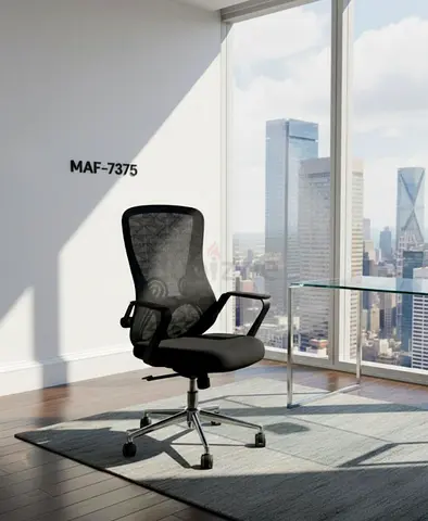 Ergonomic Office Chair with Mesh Back