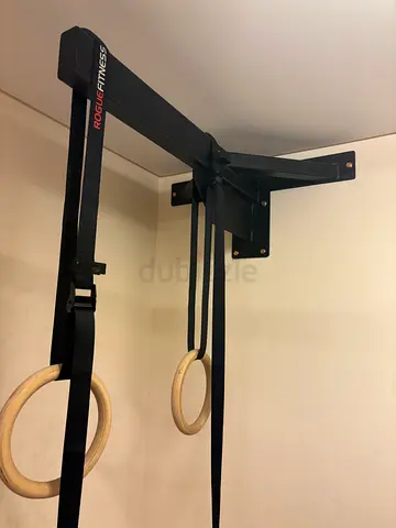 Gymnastics rings wall mount