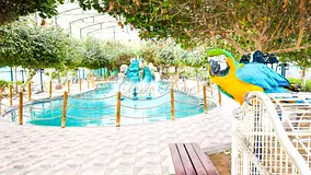 Upgraded | Corner Plot | Vacant | Furnished