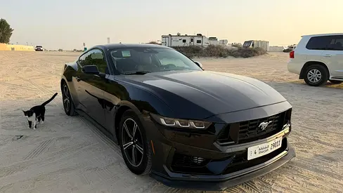 Ford Mustang Ecoboost Premium 2024 - US - Finance Available