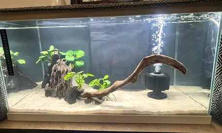 Aquarium - Full Setup