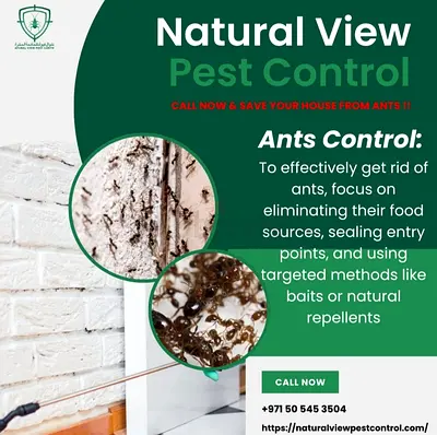 Pest control company