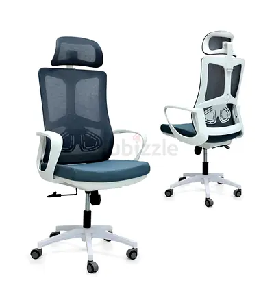 Ergonomic Office Chair with Mesh Back