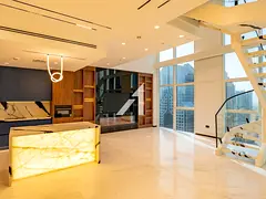 Vacant|Fully Upgraded with Terrace|Skyline View