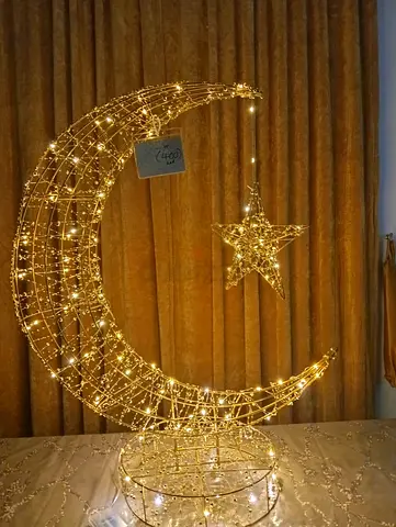 Moon Elegant Decorative Light with Star and Moon Design