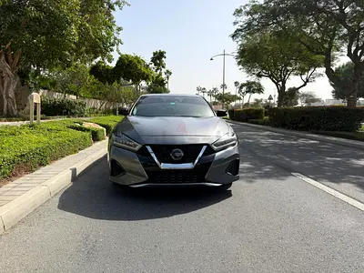 دبي القرهود