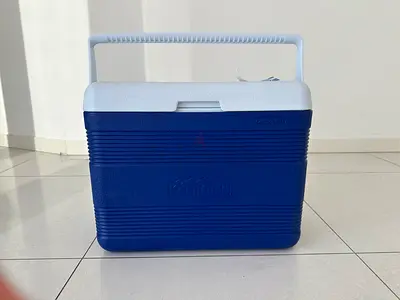 Cooler Bag 25 liters with Ice Packs Cosmoplast