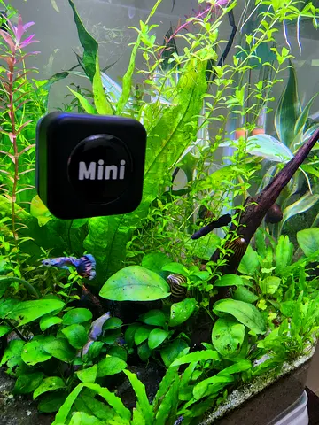 Aquarium Tank Mini Glass Cleaner