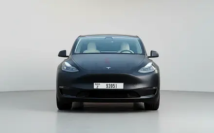 Tesla model Y performance