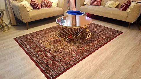 Living room Carpet Rug