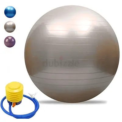 Exercise Stability Ball with Pump