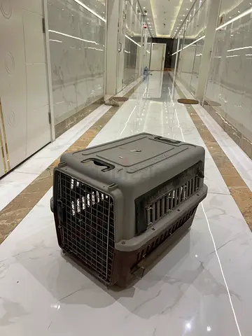 Pet Carrier for Safe Traveling