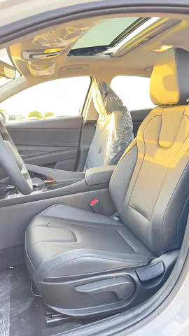 Hyundai Elantra Elite Edition, миниатюра 13
