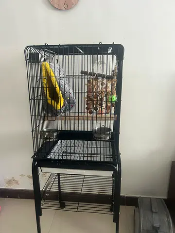 Bird cage+food+bed+toys+perchs