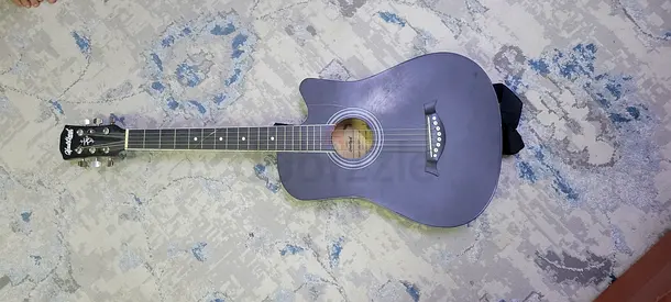 Aspiring Guitarists Acoustic Guitar