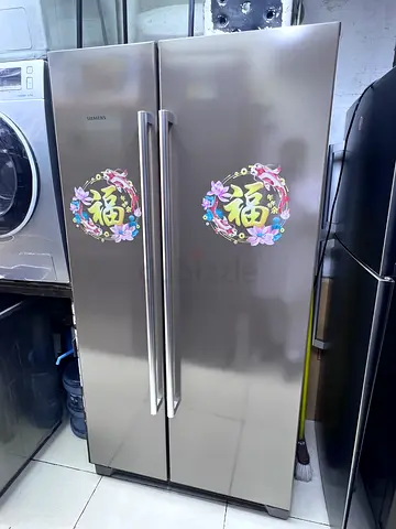 Stainless Steel Refrigerator with Floral Design