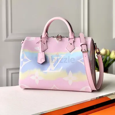 Louis Vuitton Speedy 30 Handbag in Gradient Monogram Coated Canva