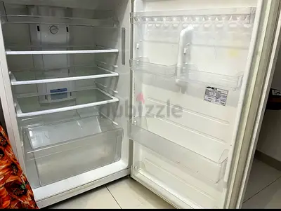 Large, Spacious Refrigerator