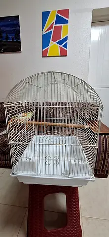 BIRD CAGE