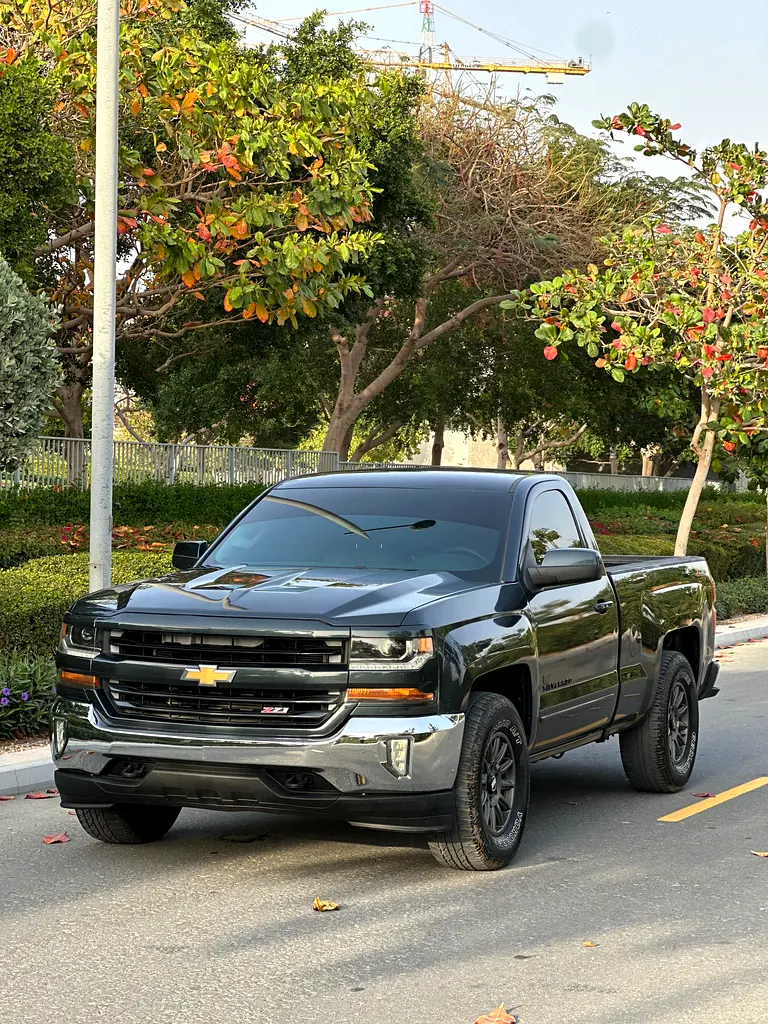 Chevrolet Silverado 2017 — photo 1 of 14