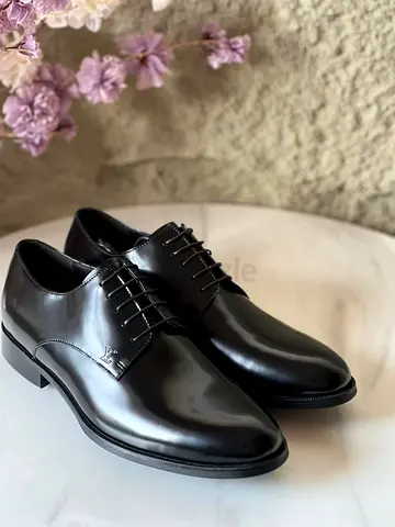 Louis vuitton men shoes