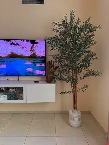 Luxury Decorative Olive Tree – 225 cm – Like New شجرة زيتون ديكورية فاخرة – ارتفاع 225 سم – بحالة مم