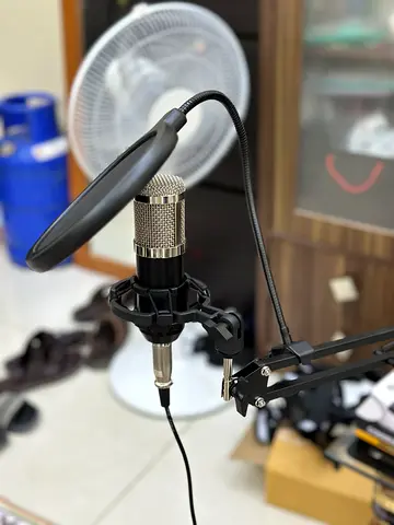 Microphone