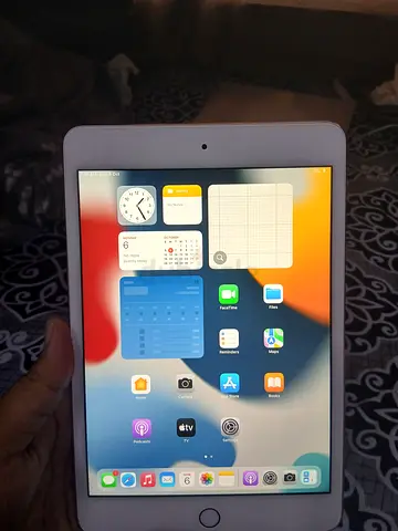 Apple ipad mini 4, 64gb with charging cable