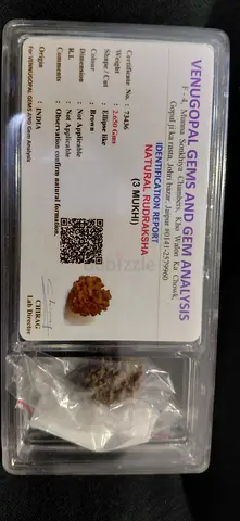 Natural Rudraksha from India - Authentic Gemstone