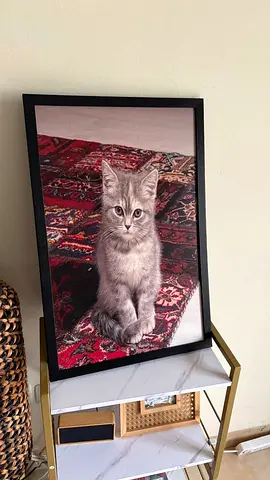 Wall Art frame - Persian Cat on Carpet !
