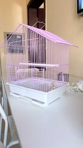 Cute Pink Bird Cage for Sale