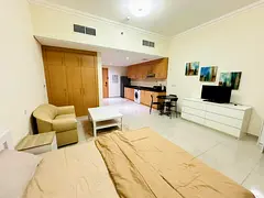 Furnished Studio for Rent | Lincoln Park, Arjan