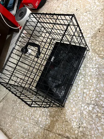 Cage for Cat