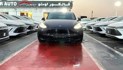 Tesla Model Y Standard 2022