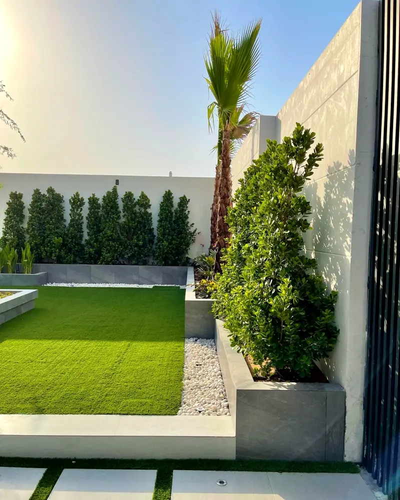 DPV_View_Image_6
