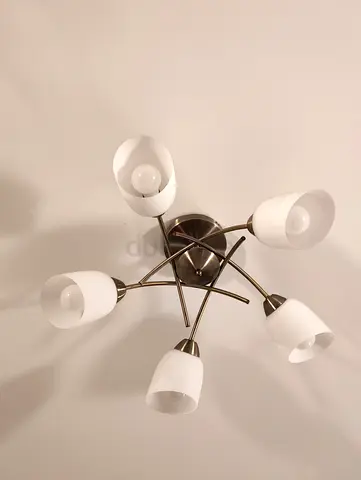 Two chandeliers for the ceiling from Home Centre