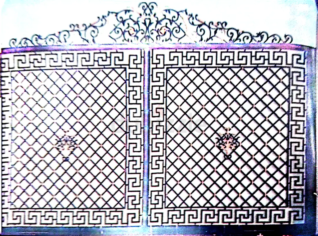 DPV_View_Image_1