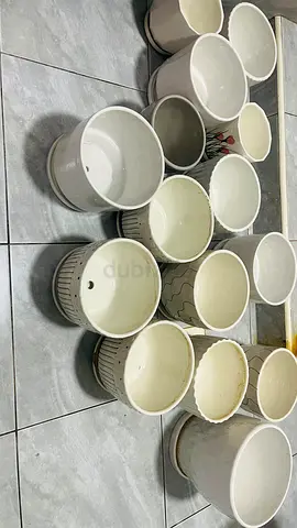 Collection of Decorative Planters