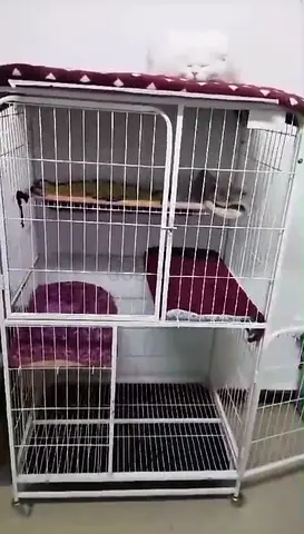 Cat Cage