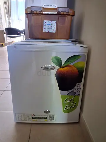 Fridge Repair service