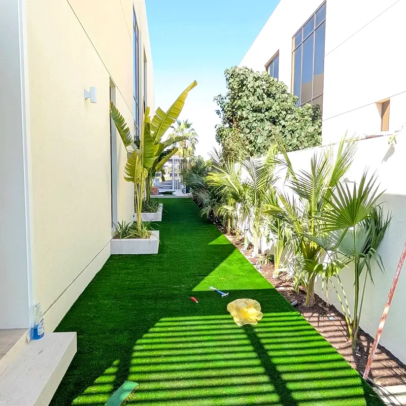 DPV_View_Image_4