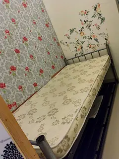 Partition available for a single lady on Damascus Street