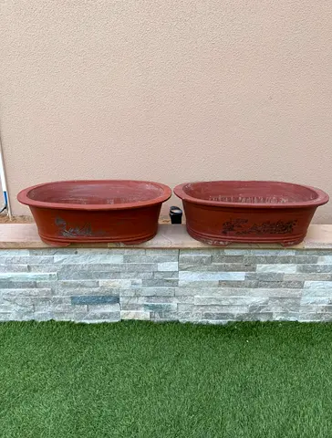 Terracotta pot
