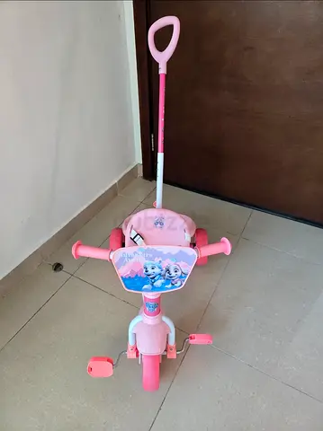 Paw Patrol Girls Tricycle with Pushbar 2-5 years old
