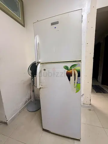 Refrigerator for Sale( Lower cooling just reduced recently)