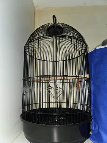 Bird Cage for Sale